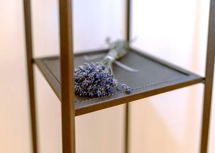 Apartman Ada Old Town 3